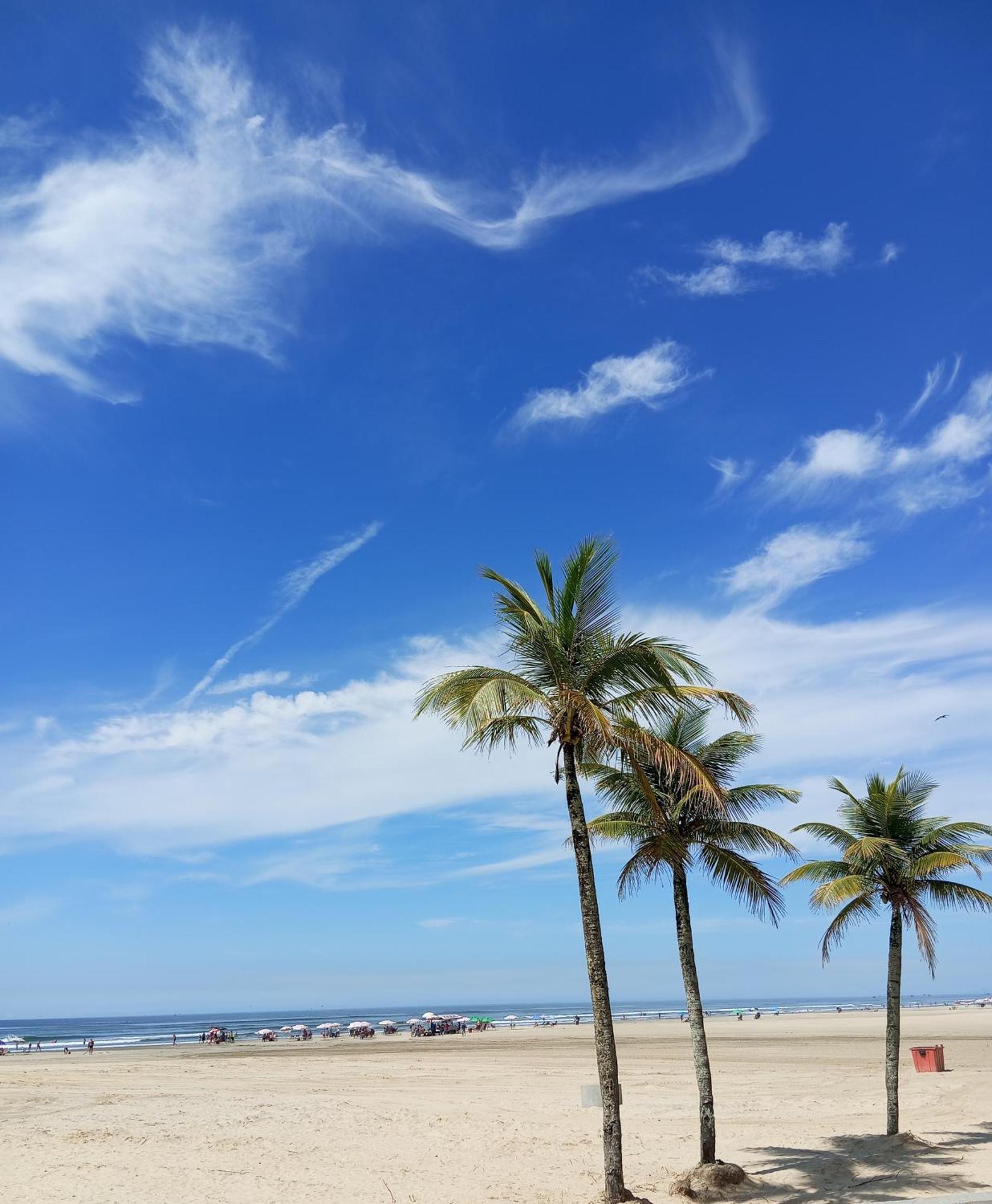 Bitenca Pe Na Areia Praia Grande (Santos)